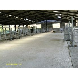 Cattle Shed Complete